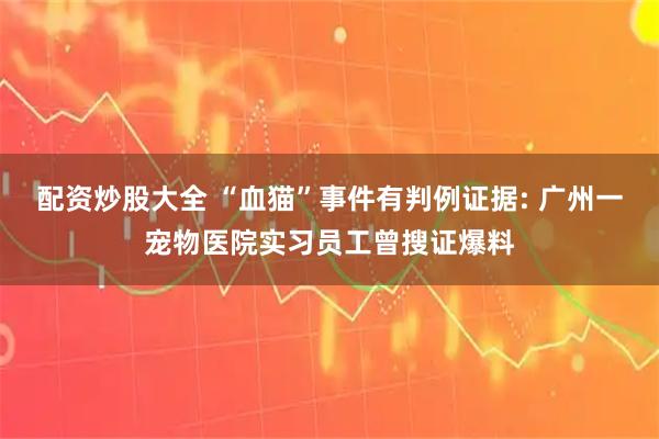 配资炒股大全 “血猫”事件有判例证据: 广州一宠物医院实习员工曾搜证爆料