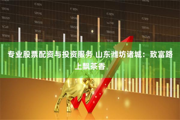 专业股票配资与投资服务 山东潍坊诸城：致富路上飘茶香