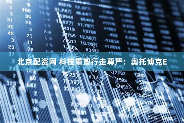 北京配资网 科技重塑行走尊严：奥托博克E