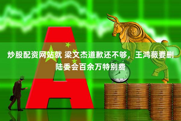 炒股配资网站就 梁文杰道歉还不够，王鸿薇要删陆委会百余万特别费